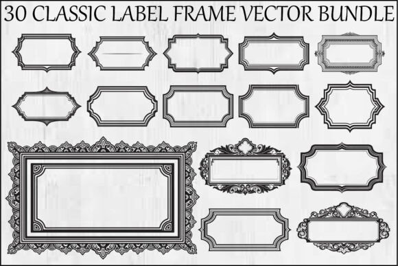Classic Label Frame Vector Bundle: A Practical Review