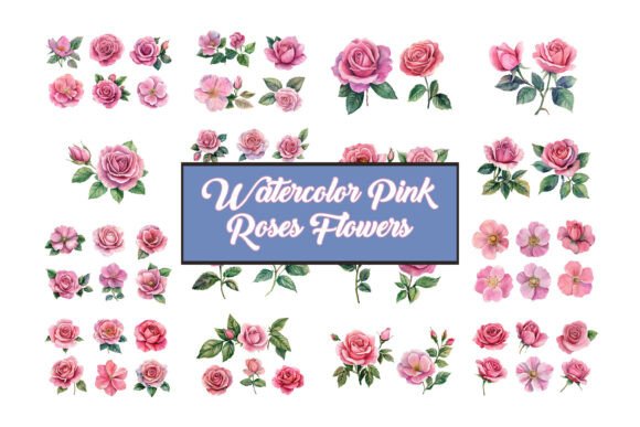 Mastering Soft Elegance: A Guide to the Pink Roses Floral Vector Collection