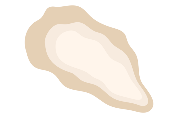 Oyster. Delicates Seafood. Mussel Seashe: A Strategic Asset for Visual Branding and Content Planning